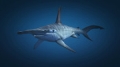 Uno squalo martello in GTA V