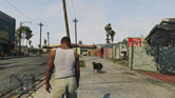 GTA 5 Chop