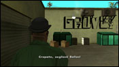 GTA San Andreas Nines and AKs