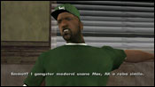 GTA San Andreas Nines and AKs