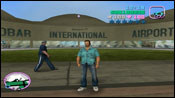 Vice City Patrol Invest Group