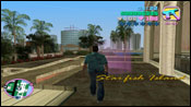 Vice City Cop Land