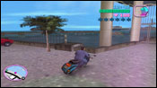 GTA Vice City Il party