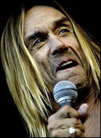 iggy pop